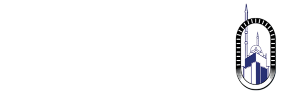 Misr Holding logo